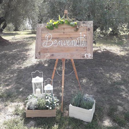 Agriturismo Fonteregia Montecatini Terme Ngoại thất bức ảnh