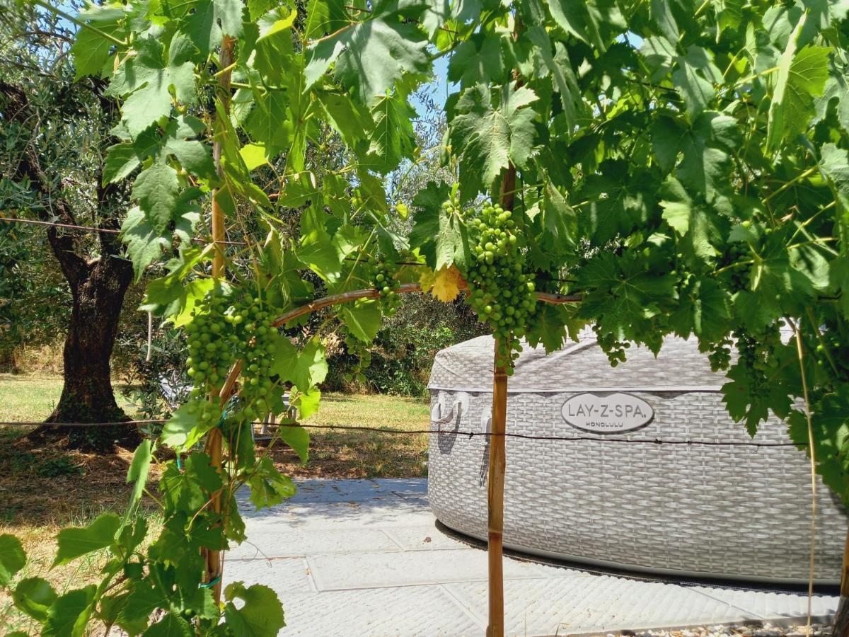 Agriturismo Fonteregia Montecatini Terme Ngoại thất bức ảnh
