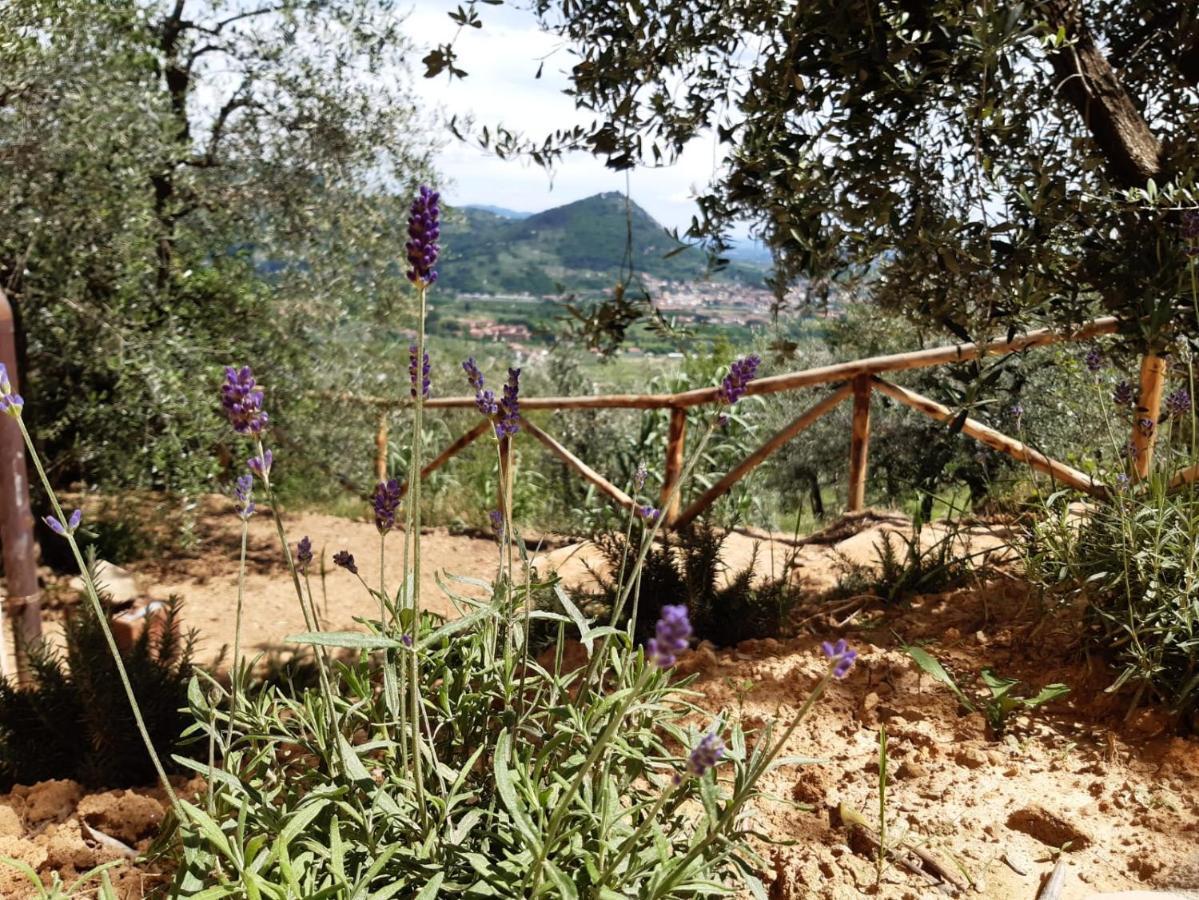 Agriturismo Fonteregia Montecatini Terme Ngoại thất bức ảnh